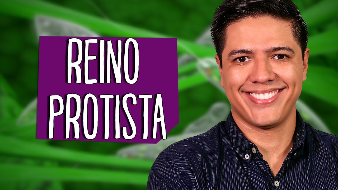 REINO PROTISTA - PROTOCTISTA: PROTOZO&Aacute;RIOS E ALGAS - Prof. Kennedy Ramos