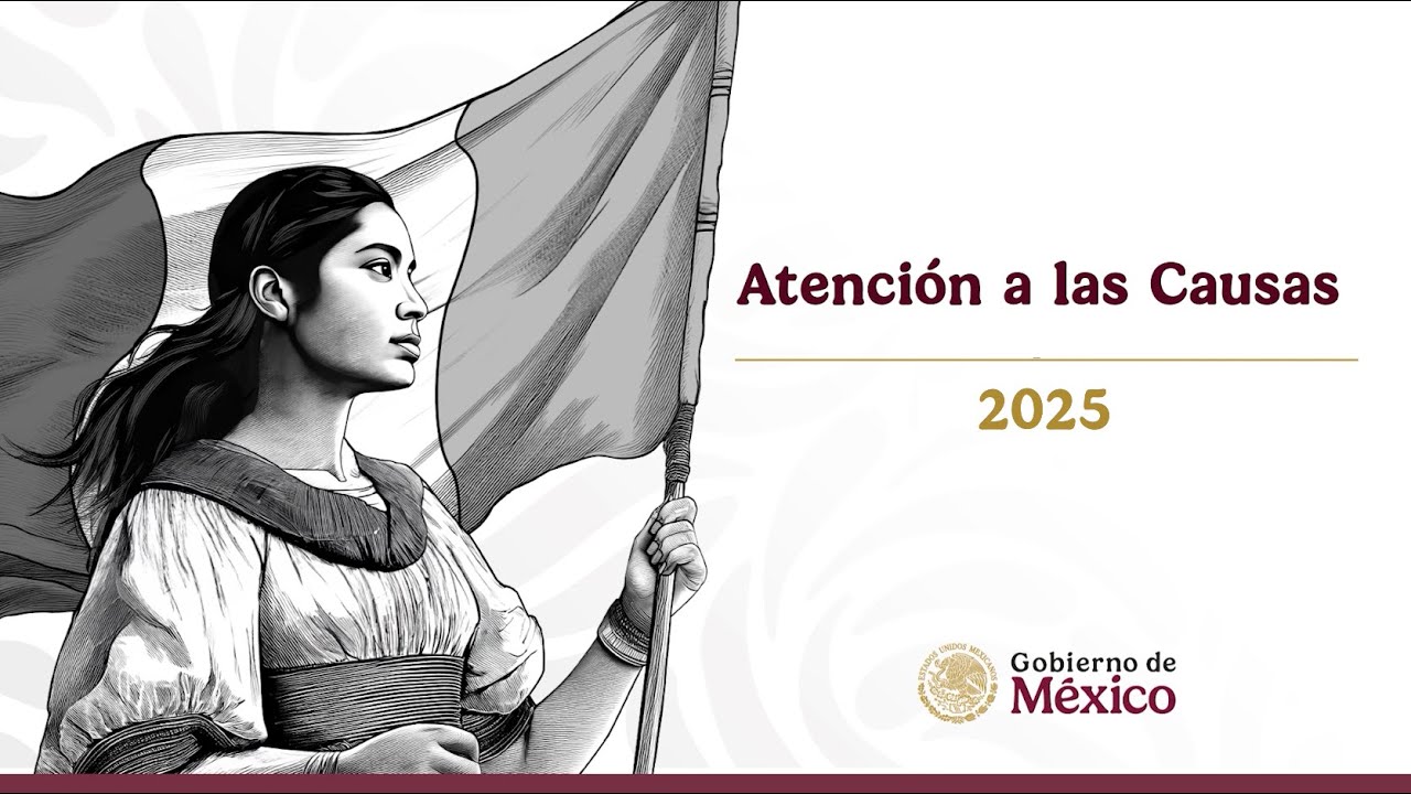 Atenci&oacute;n a las Causas