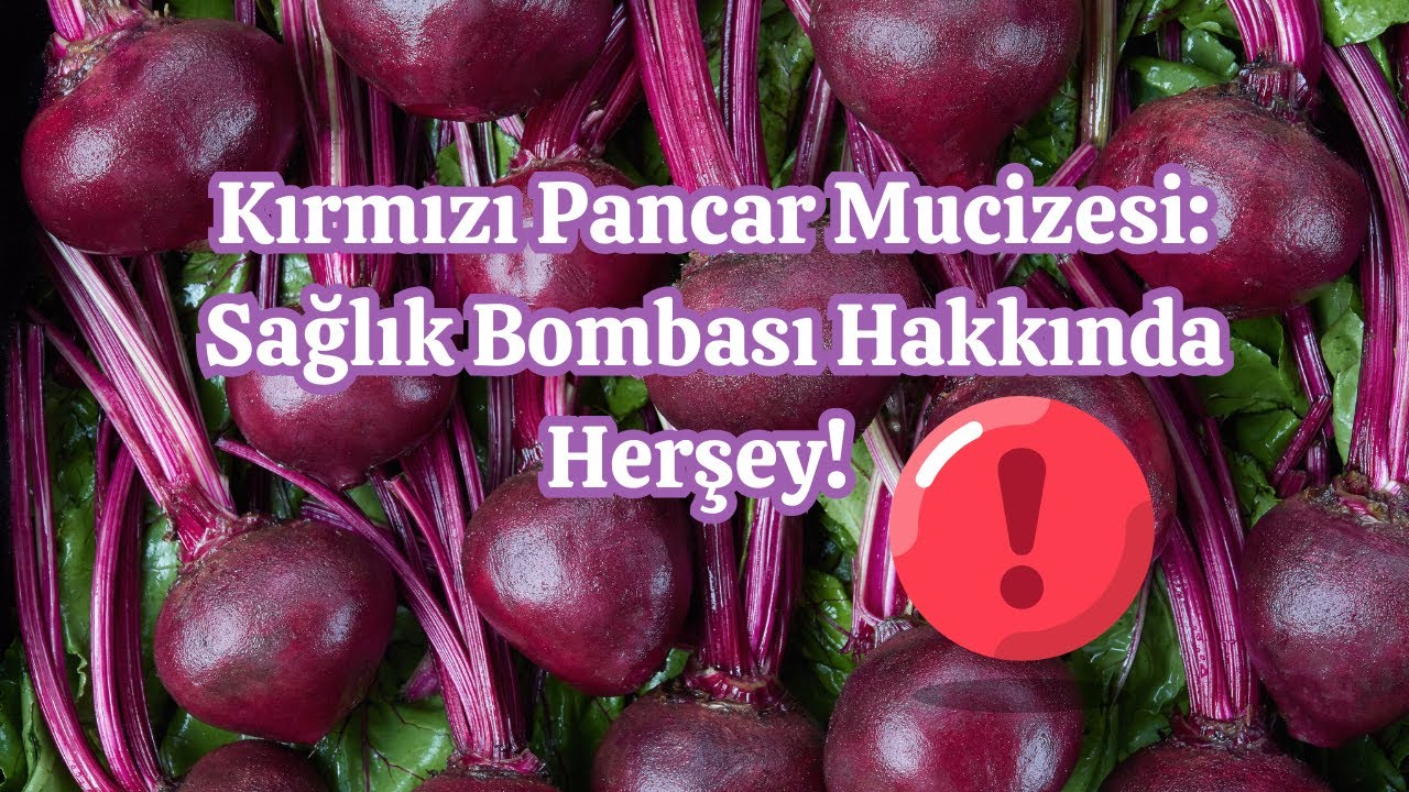 Kırmızı Pancar Mucizesi: Hakkında Herşey!