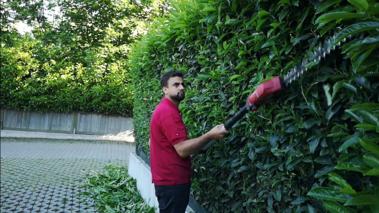 Poda topiaria de cerca viva, podador aparador a bateria Einhell. trimmer bush