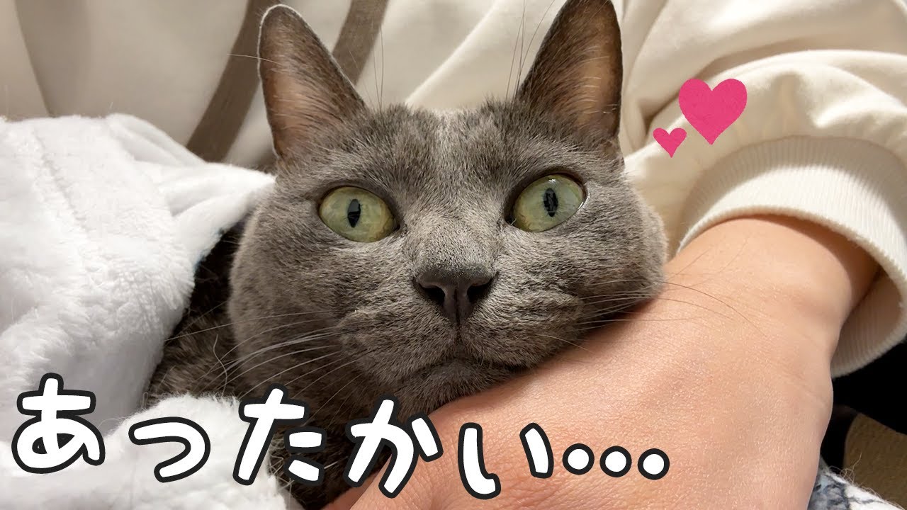 ハムちゃんがママに甘えるようになりました！