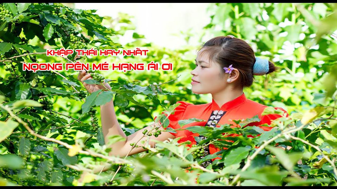 Khặp Thái Thanh Hóa Hay Nhất 2021 - Nọong Pên Mé Hạng Lẹo Ái Ơi #2 - Mường Ca Da