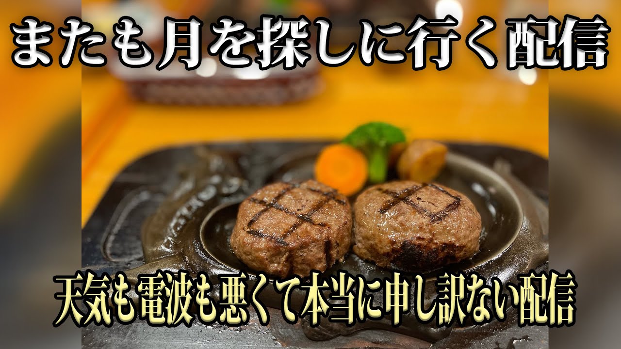【ドライブ】ハンバーグは最高においしいけど配信と関係ない動画
