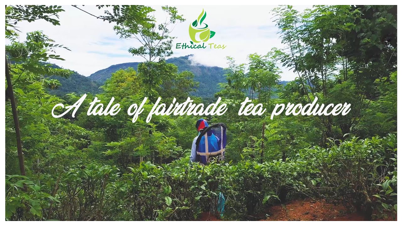 Ethical Teas Pvt Ltd (A tale of fairtrade  tea producer)