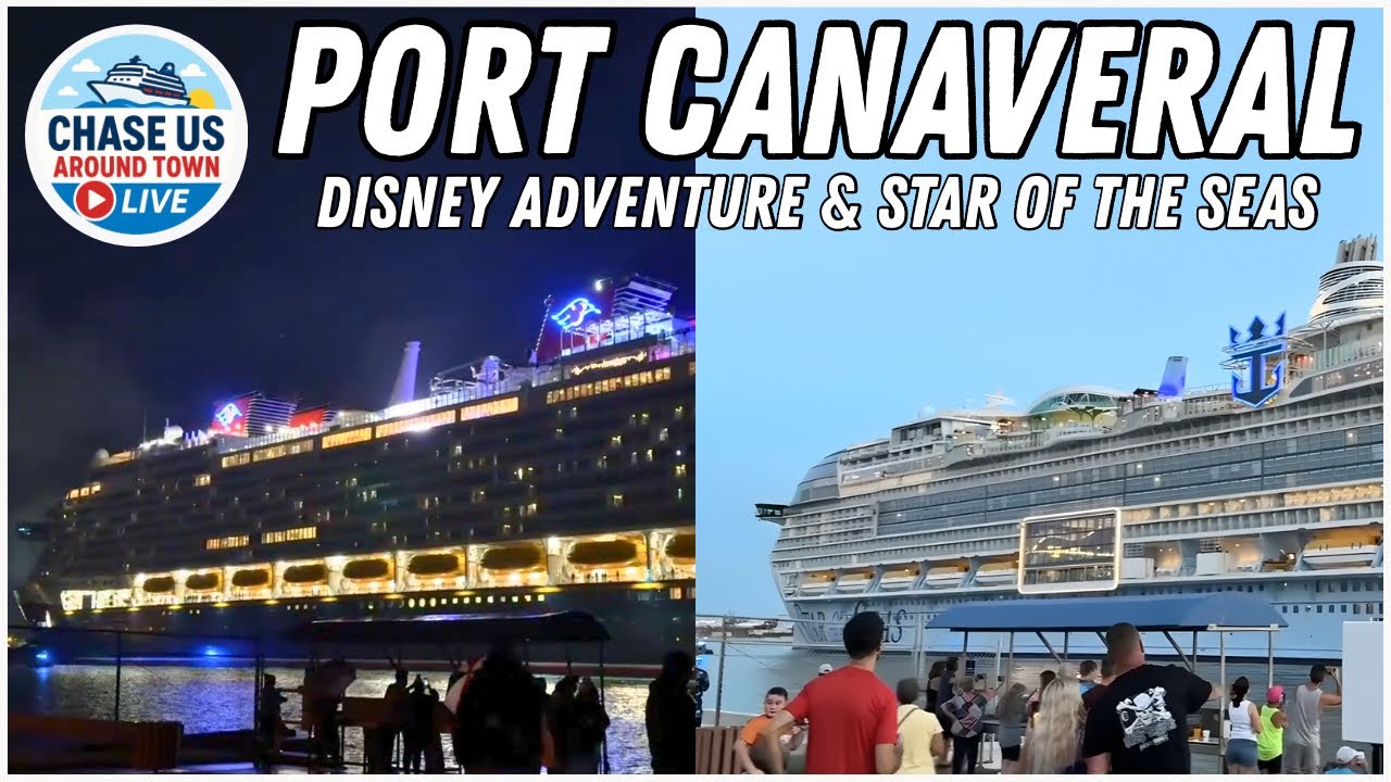Disney Adventure или Star of the Seas: какой из лайнеров, прибывших первым, победит?