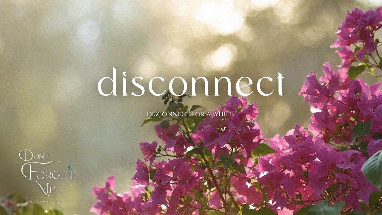 Disconnect for a While 💖Relaxing Guitar Music for Sleep & Deep Focus | Peaceful Instrumental Breathe