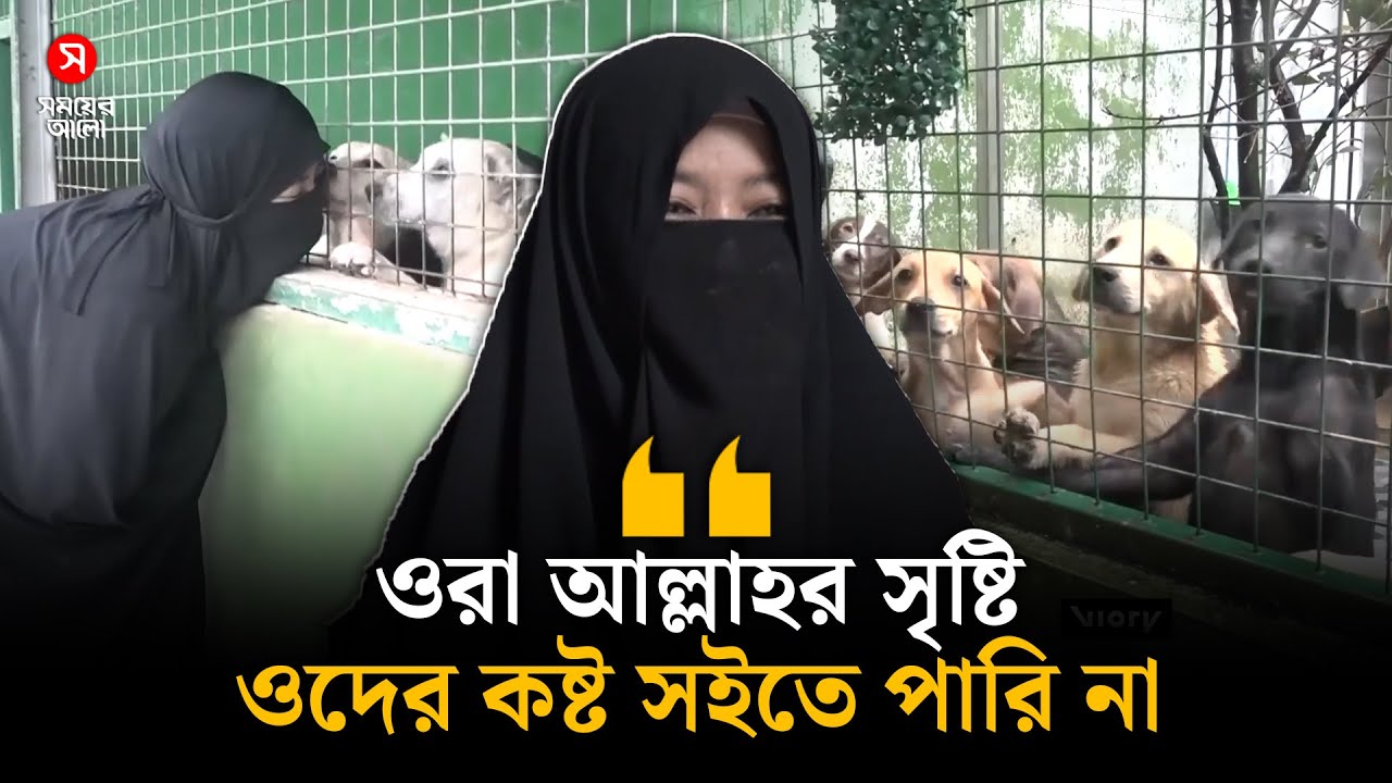ইন্দোনেশিয়ান নারীর আশ্রয়ে বেড়ে উঠছে শত শত কুকুর | Dog Lover | Shomoyer Alo World