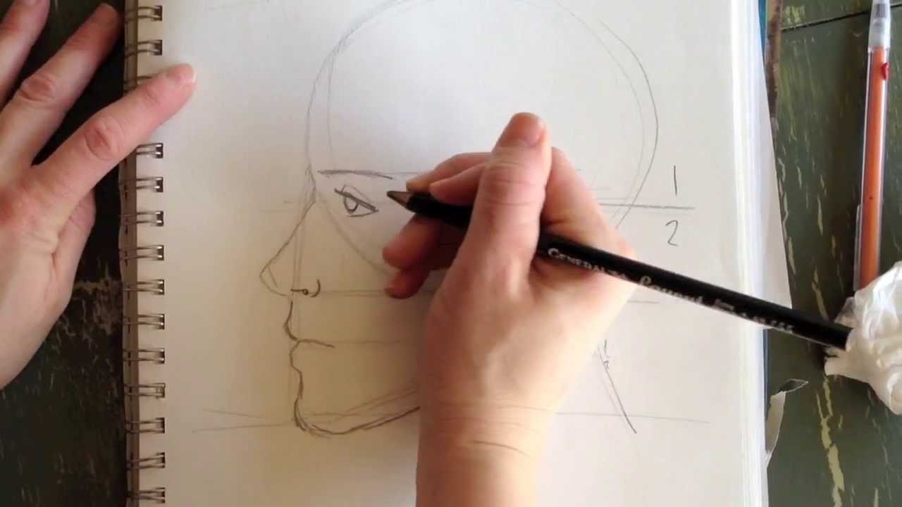 Facial Proportions PROFILE - DRAWING ESSENTIALS
