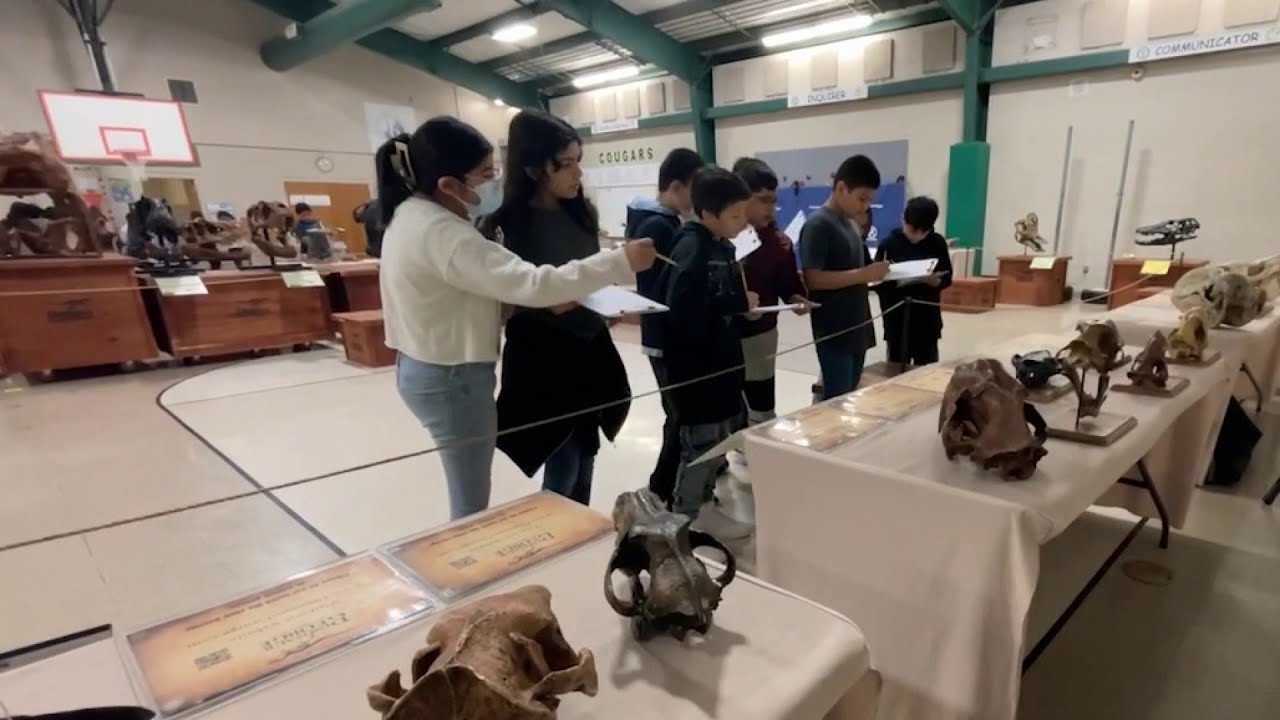 SAISD elementary school gets visit from traveling dinosaur museum