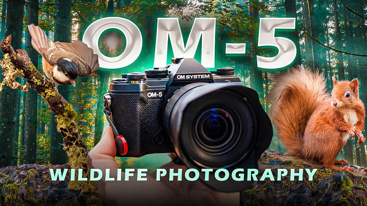 Система OM-5 для фотосъемки дикой природы