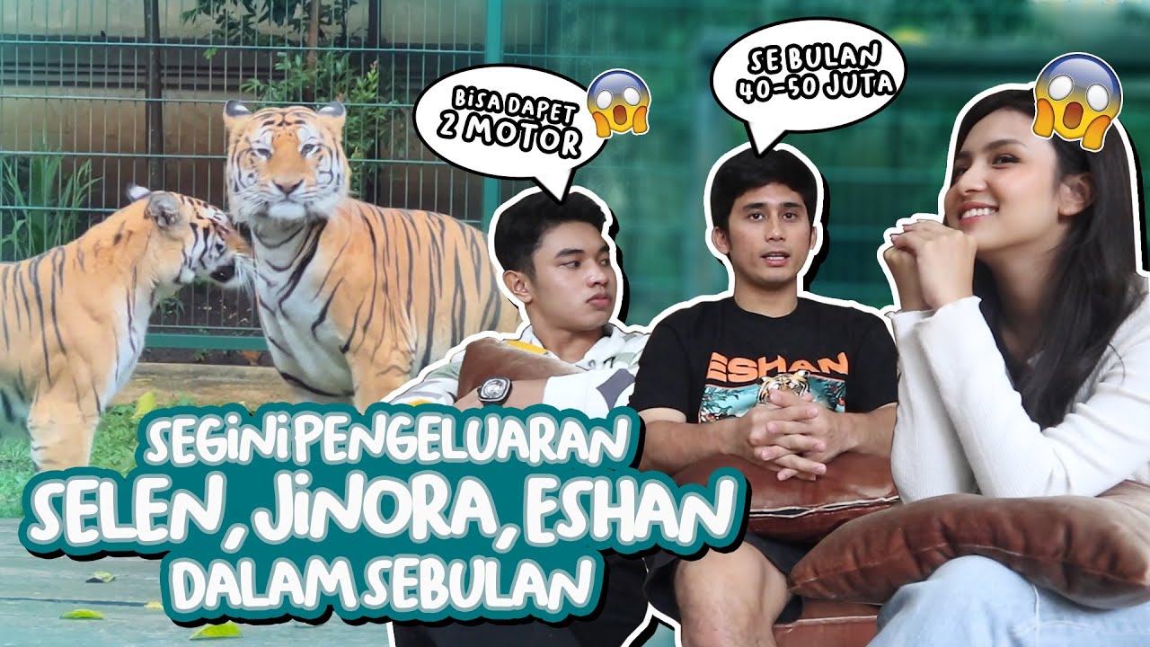 TERNYATA SEGINI PENGELUARAN KAK ALSHAD BUAT SELEN, JINORA & ESHAN DALAM SEBULAN !!