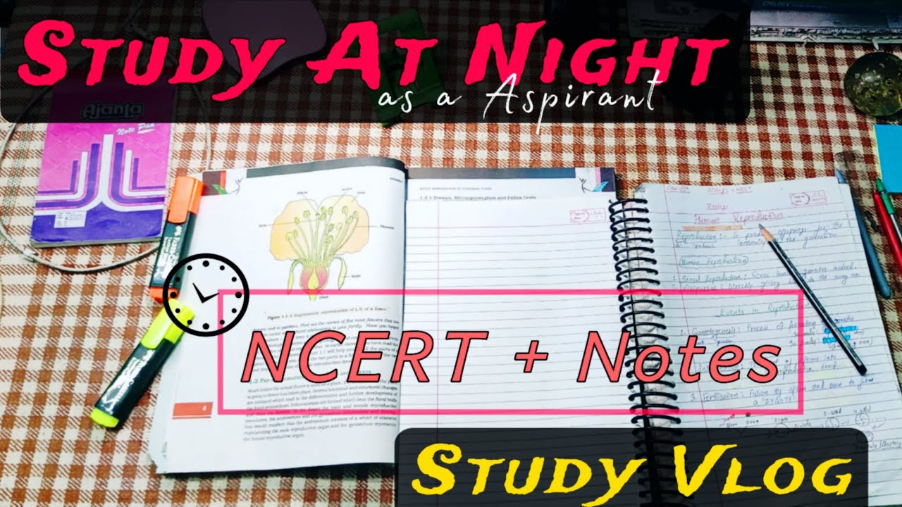 ✨ Night Study Vlog || Revise