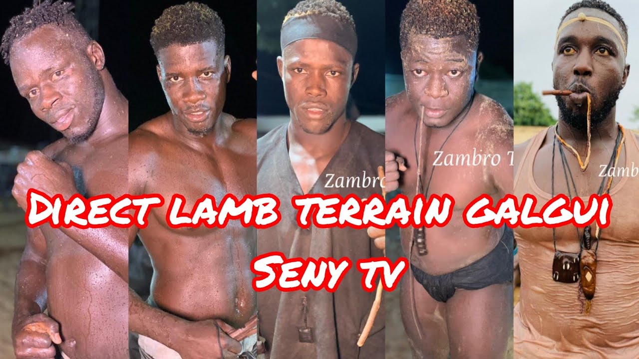 direct lamb terrain galgui mise 3.000.000f  TOUBAKOUTA, ngagne sene, SOSSOKH,