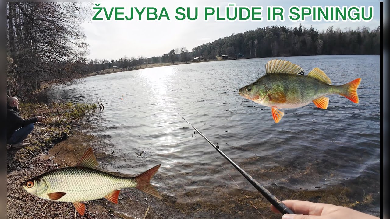PAVASARINĖ ŽVEJYBA SU PLŪDINE IR SPININGU NUO LIEPTO 2024