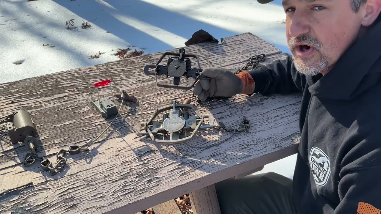 Best Traps for Coyotes. 