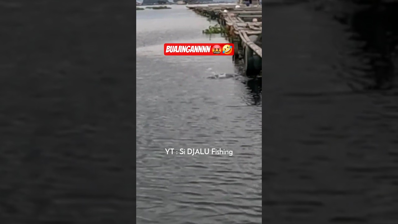 Buajimgannnn 🤬🤣 #fishing #mancingceria #funnyvideo #funfishing