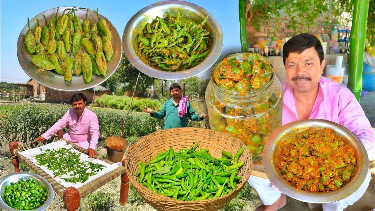 अब इस 3 तरीके से हरी मिर्च का अचार बनाकर रख लो और पूरे साल खाओ🌶️Spicy Green Chili Pickle