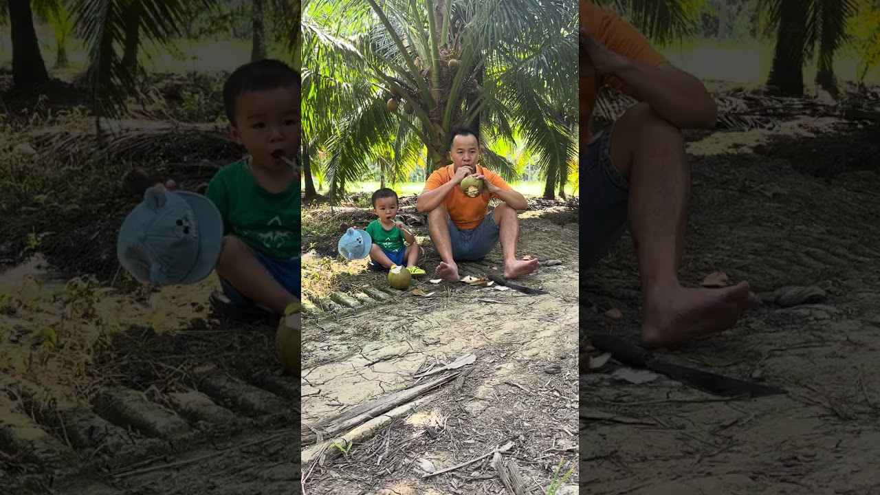 Bé hái dừa