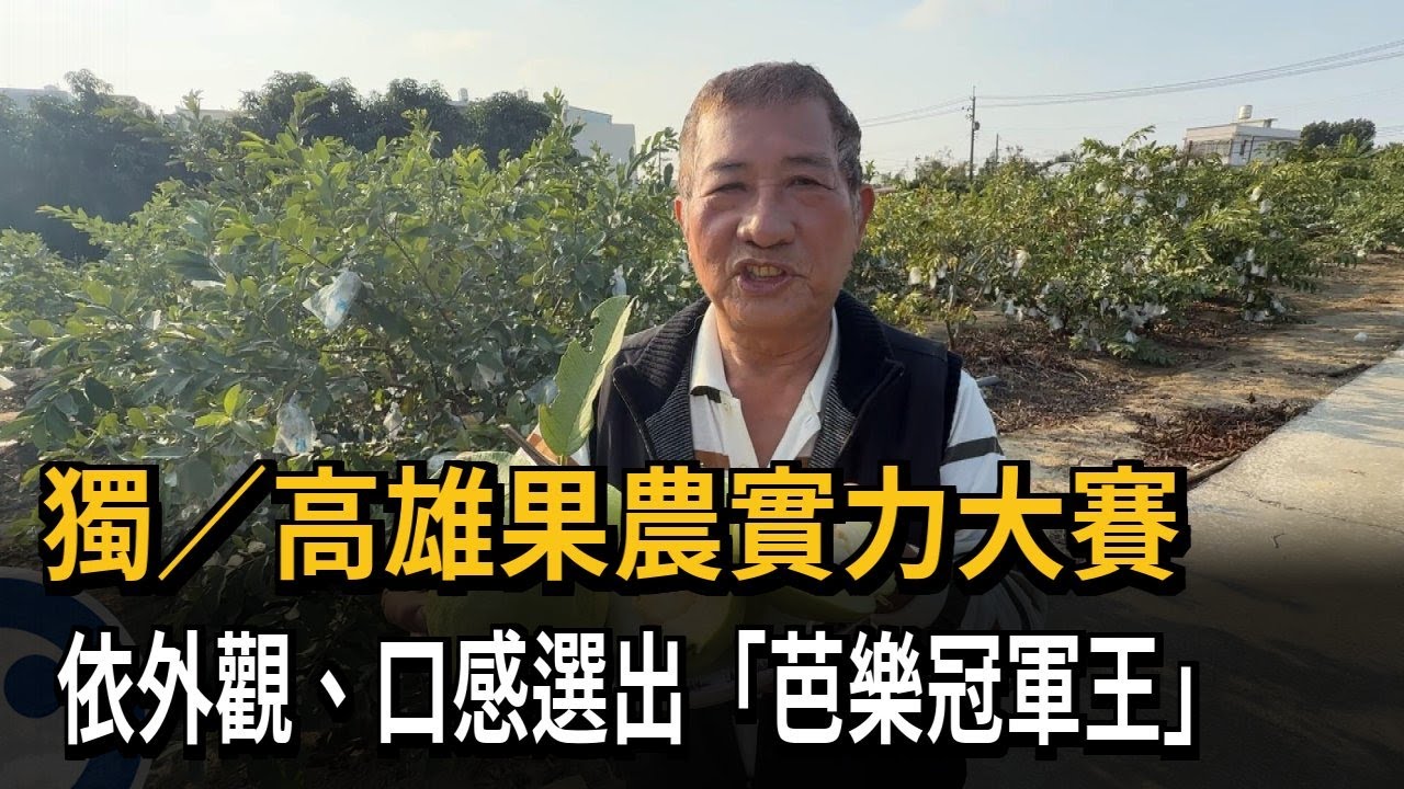 獨／高雄果農實力大賽 依外觀、口感選出「芭樂冠軍王」－民視新聞