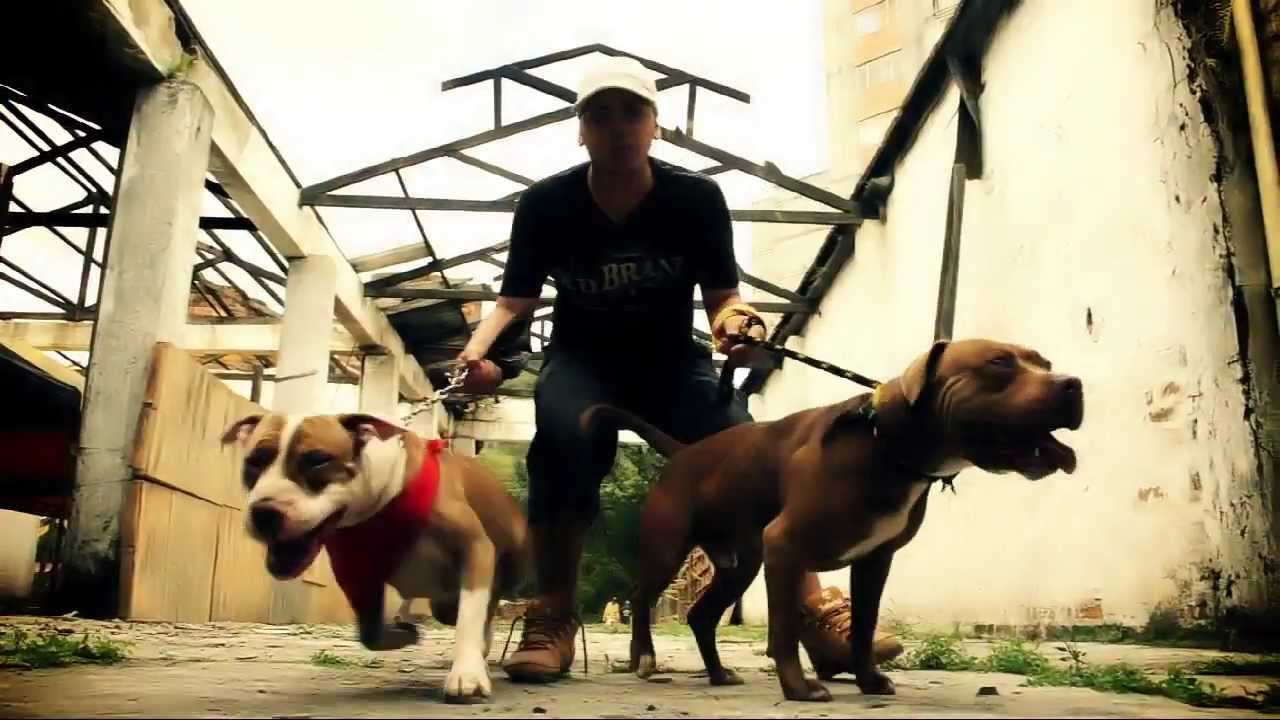 IYhon Secuaz Ft Afaz Natural & Jam N Studio Los Sabuesos Video Oficial
