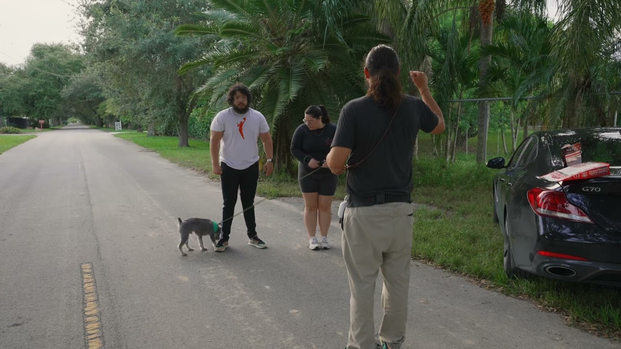 My Dawg’s Place Ep.13 - Nas, The Reactive Mini Schnauzer