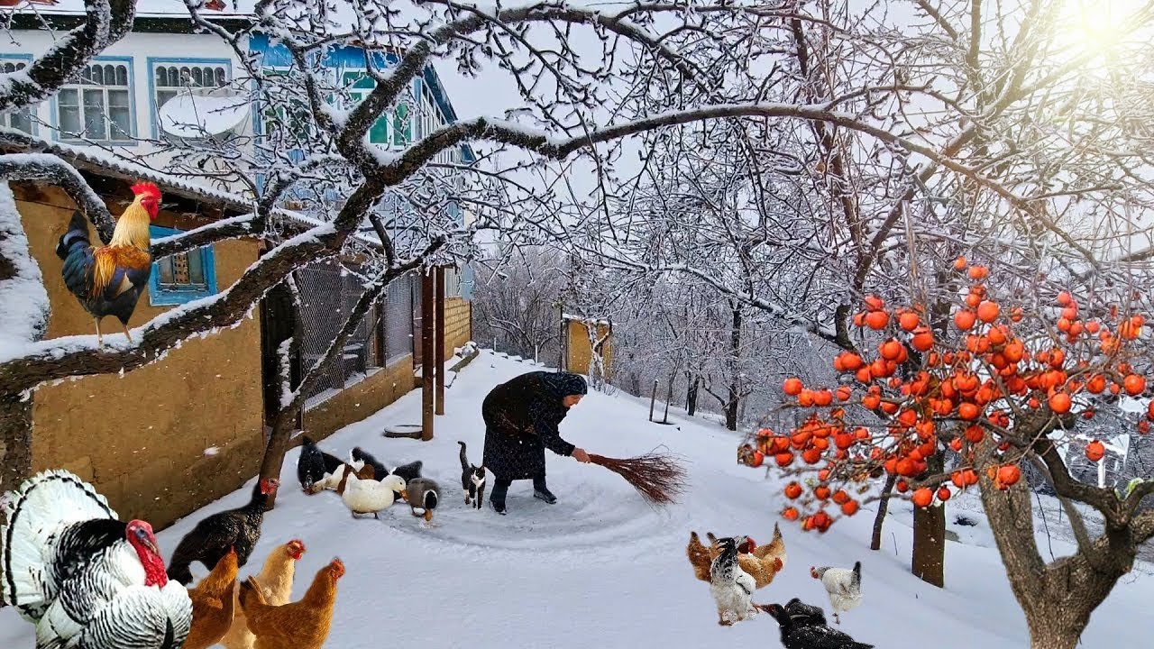 Шах-плов в холодный зимний день | Традиционный рецепт от бабушки