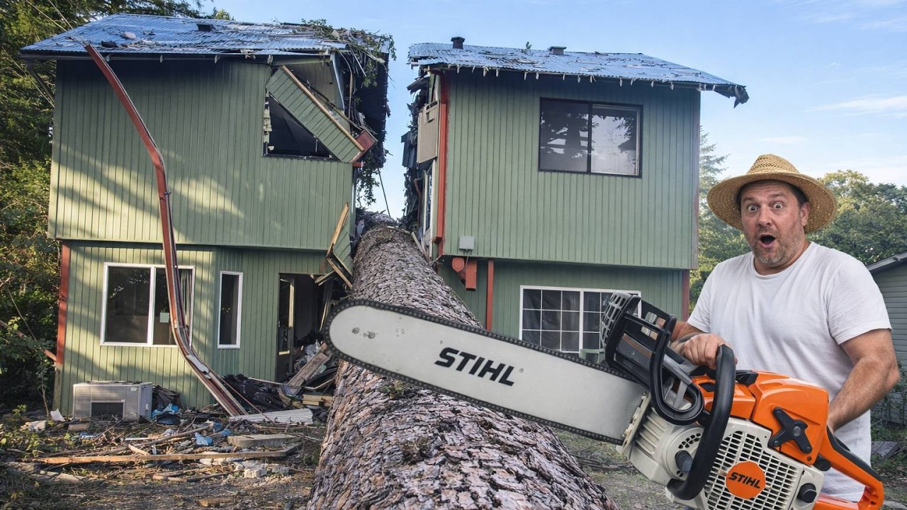 Critical Felling Accidents | Advanced Chainsaw Operational Hazards