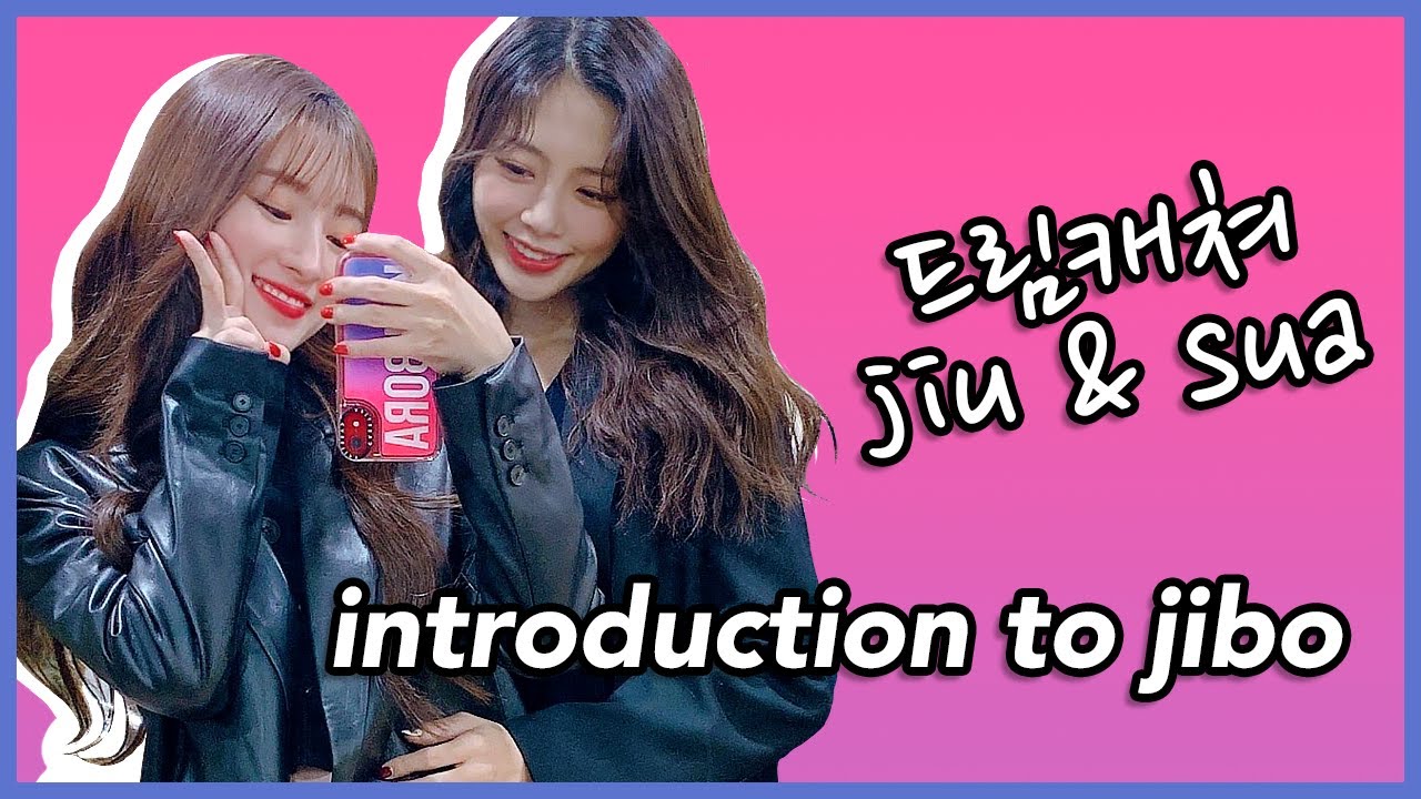 introduction to jibo: dreamcatcher jiu & sua’s dynamic | 드림캐쳐 쥬솨 🐰🐣