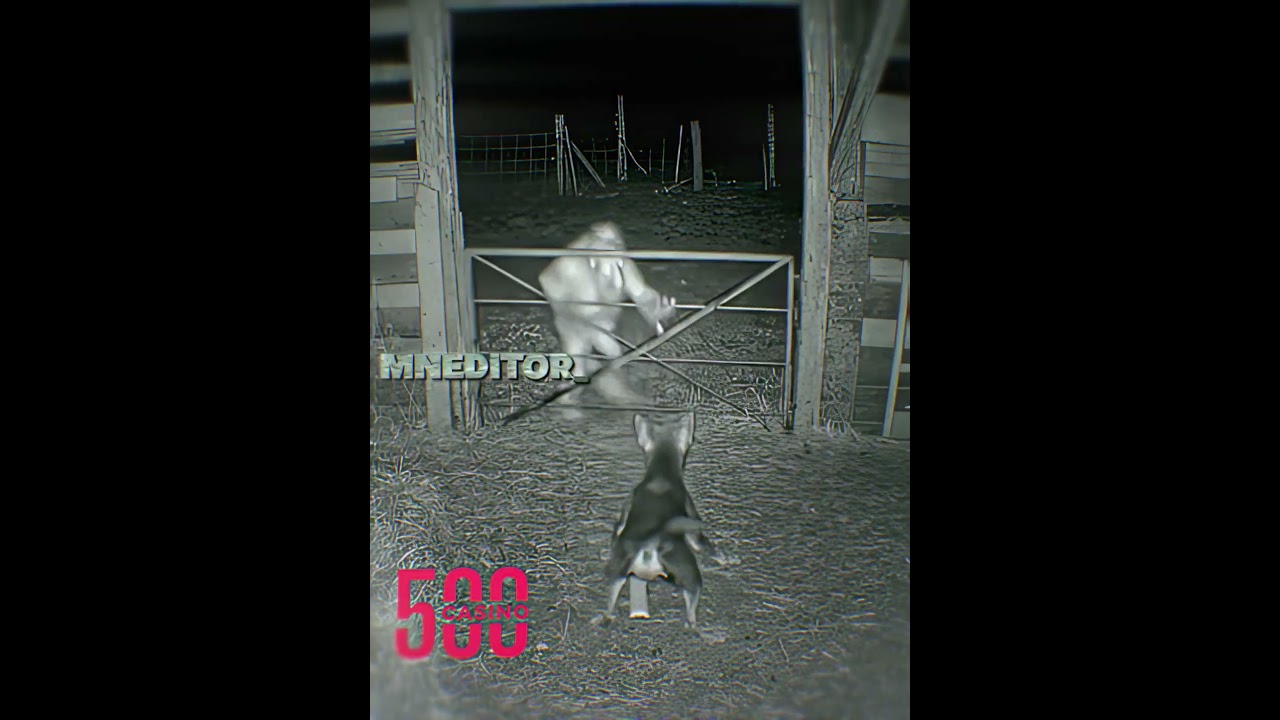 SKINWALKER VS DOGS💀🔥