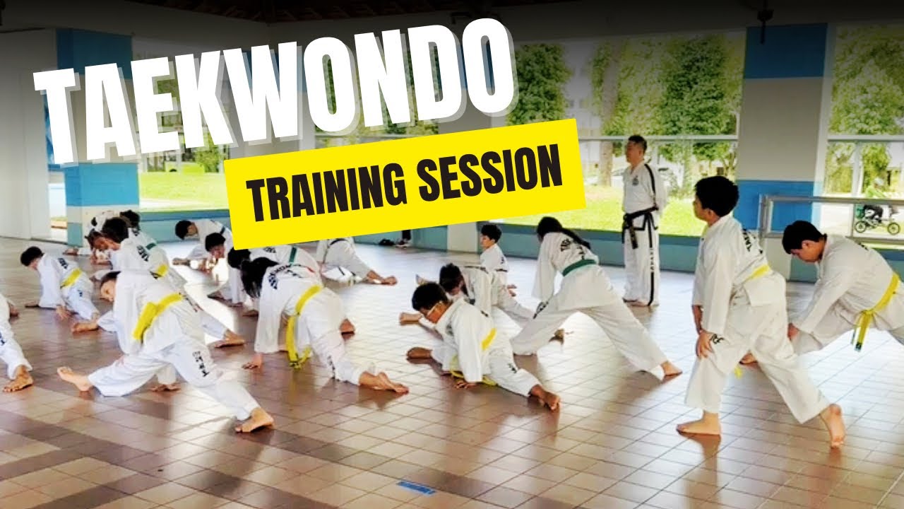 🥋 Weekly Taekwondo Lesson | January 2026