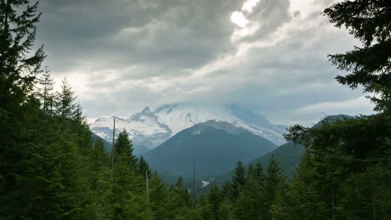 The History of Sierra Nevada Brewing - Our Story