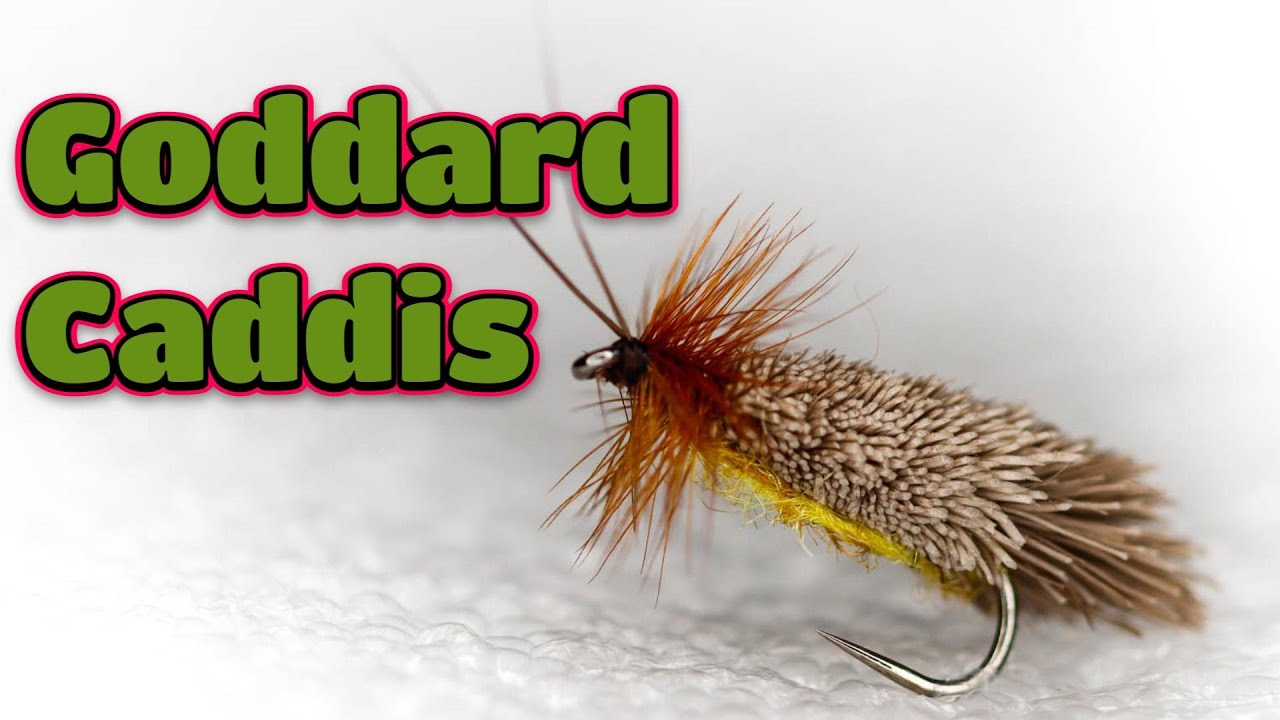 Goddard Caddis