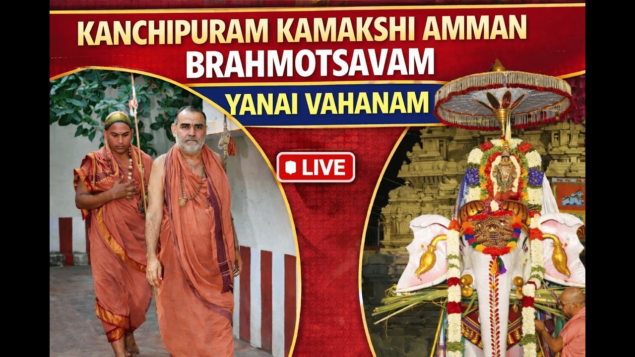 🔴Live  DAY -03 யானை வாகனம் காமாட்சி அம்மன் கோவில் பிரம்மோத்ஸ்வ விழா