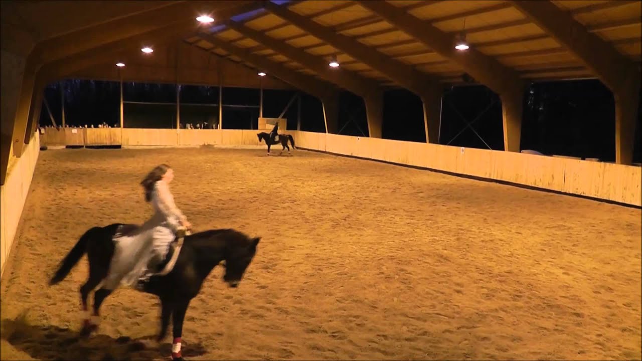 RVVM - Weihnachtsreiten 2014 - Pas de deux