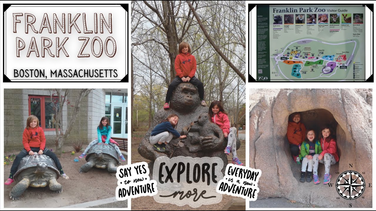 Comedic Animal Encounters || Franklin Park Zoo || Travel || Family Adventure || Boston, MA 