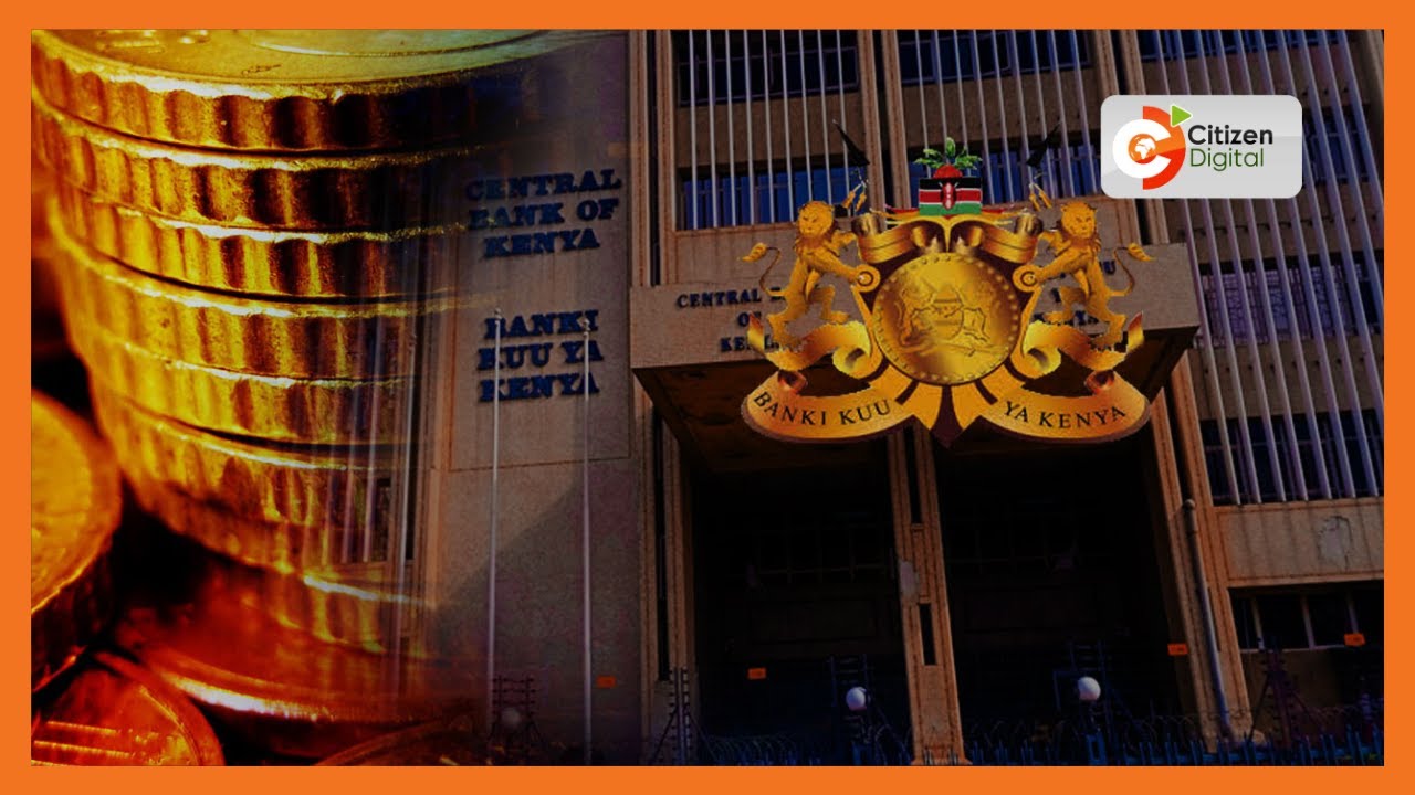 Central Bank blames high cost of borrowing on domestic debt