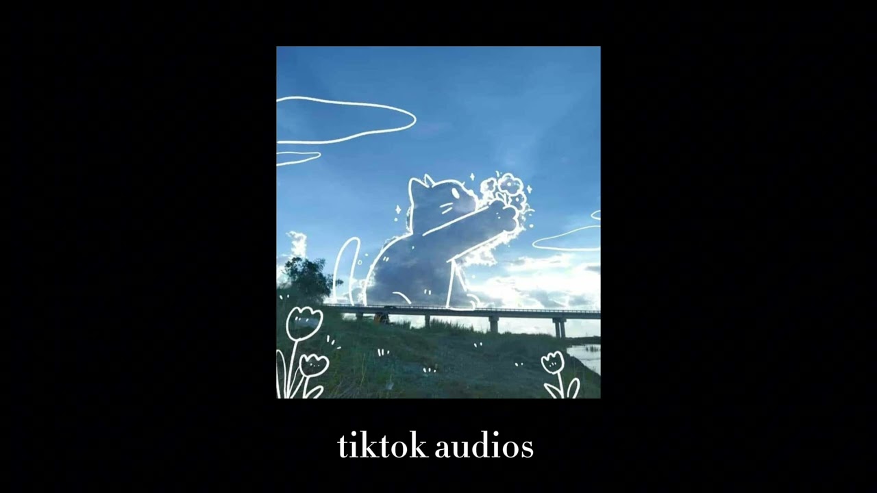 tiktok audios 164 + timestamps