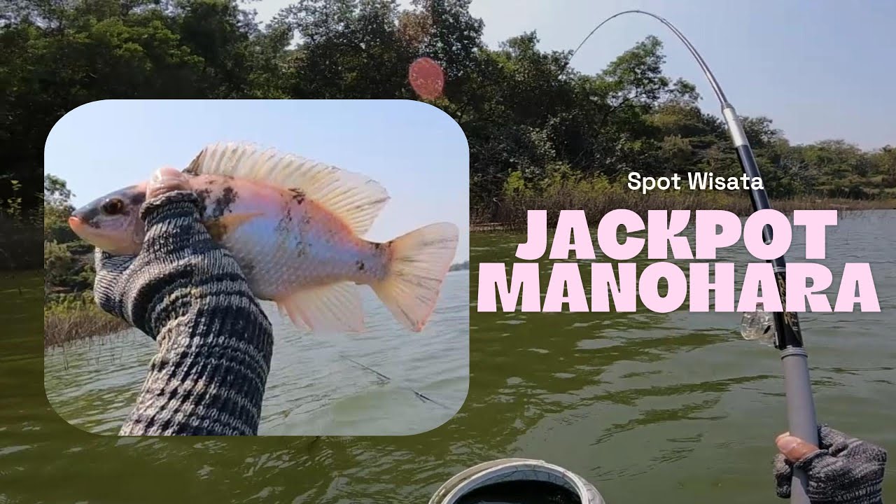 WGM || SPOT BADAI TAPI IKAN TETAP MAKAN
