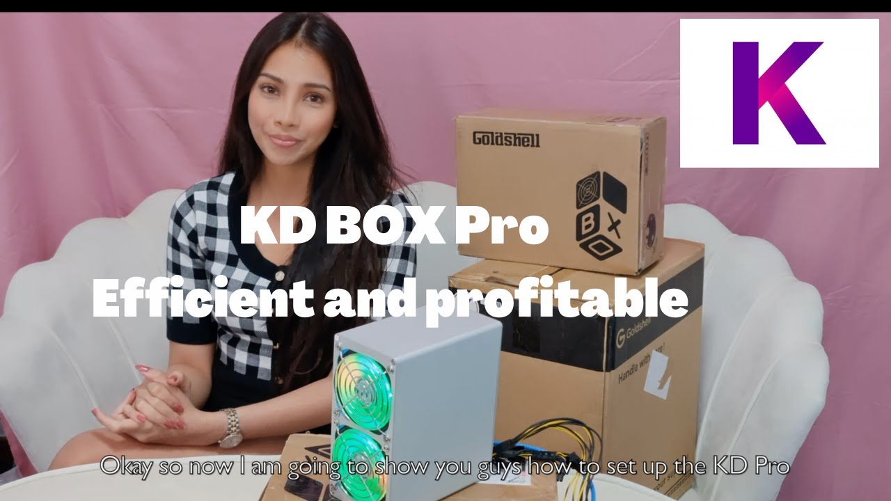 Goldshell KD Box Pro (Newest Kadena Home ASIC Miner) | Review & Set Up