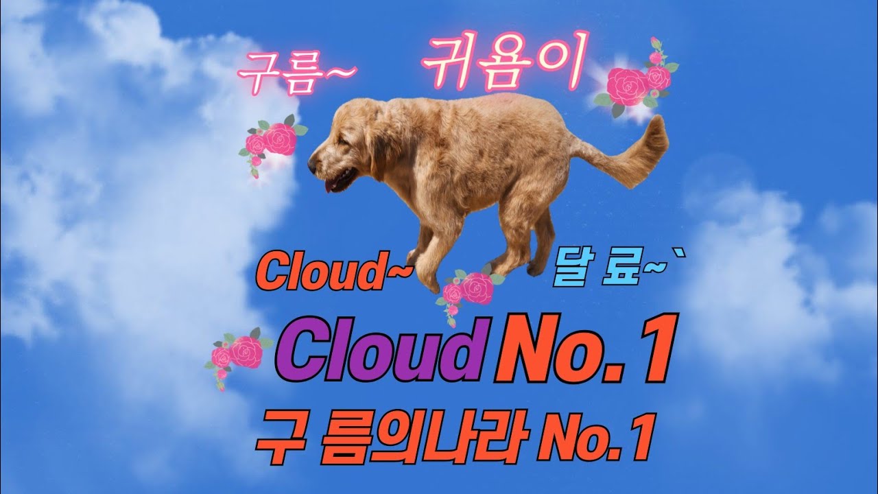 구름의나라No.1 #2025 #생방송 #대형견 #골든두들 #산책 #강아지 #건강정보 #공놀이