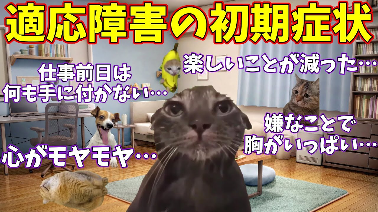 【猫ミーム】アペティグマが経験した適応障害の初期症状 #猫ミーム #猫マニ