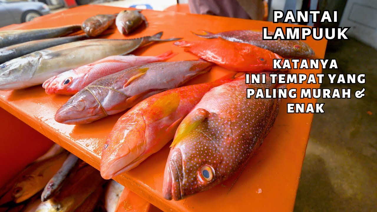 Bagaimana Harga Ikan Bakar di Pantai Lampuuk Aceh Terbaru 2026 || Awai Adun Seafood