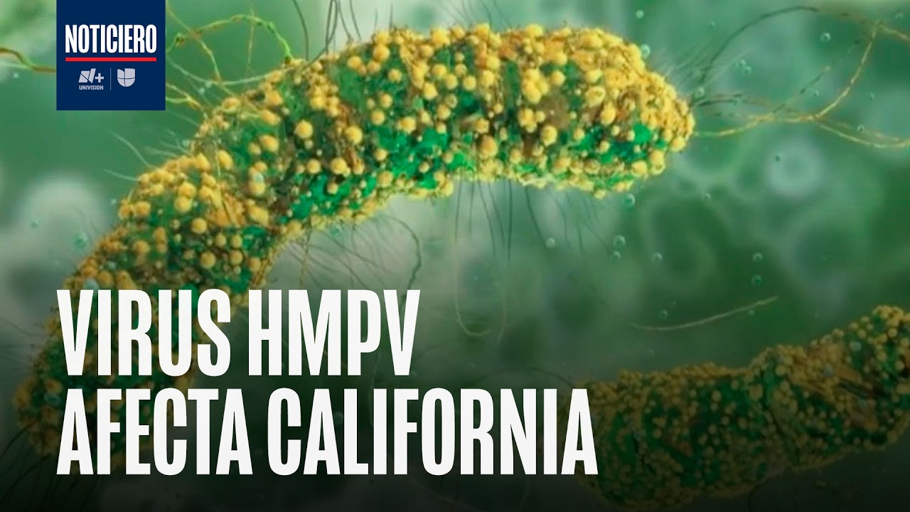 California emite alerta por virus respiratorio HMPV: Autoridades piden aumentar lavado de manos