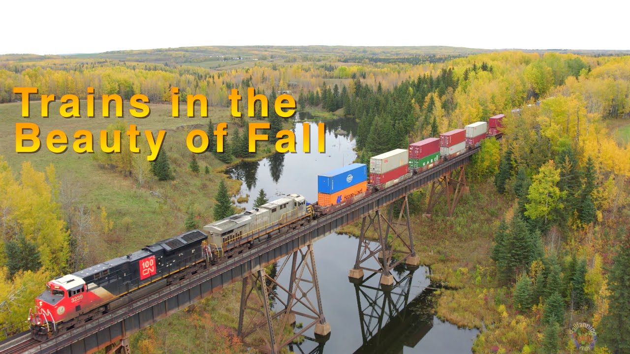 Trains in the beauty of fall