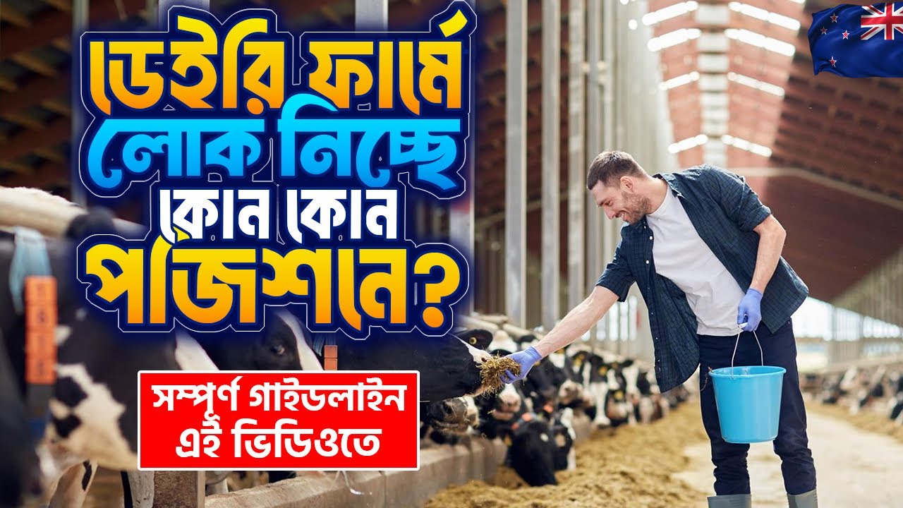 নিউজিল্যান্ড ডেইরি ফার্ম জবে আবেদন করার সঠিক নিয়ম New Zealand work visa update 2026☎️+48732231331