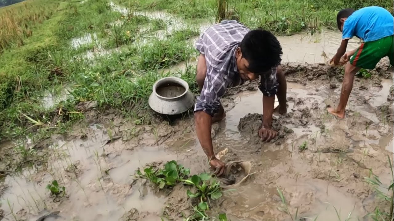 Fishing in Rainy Season I Awesome Traditional Hand Fishing Video | Best Hand Fishing From Mud Water