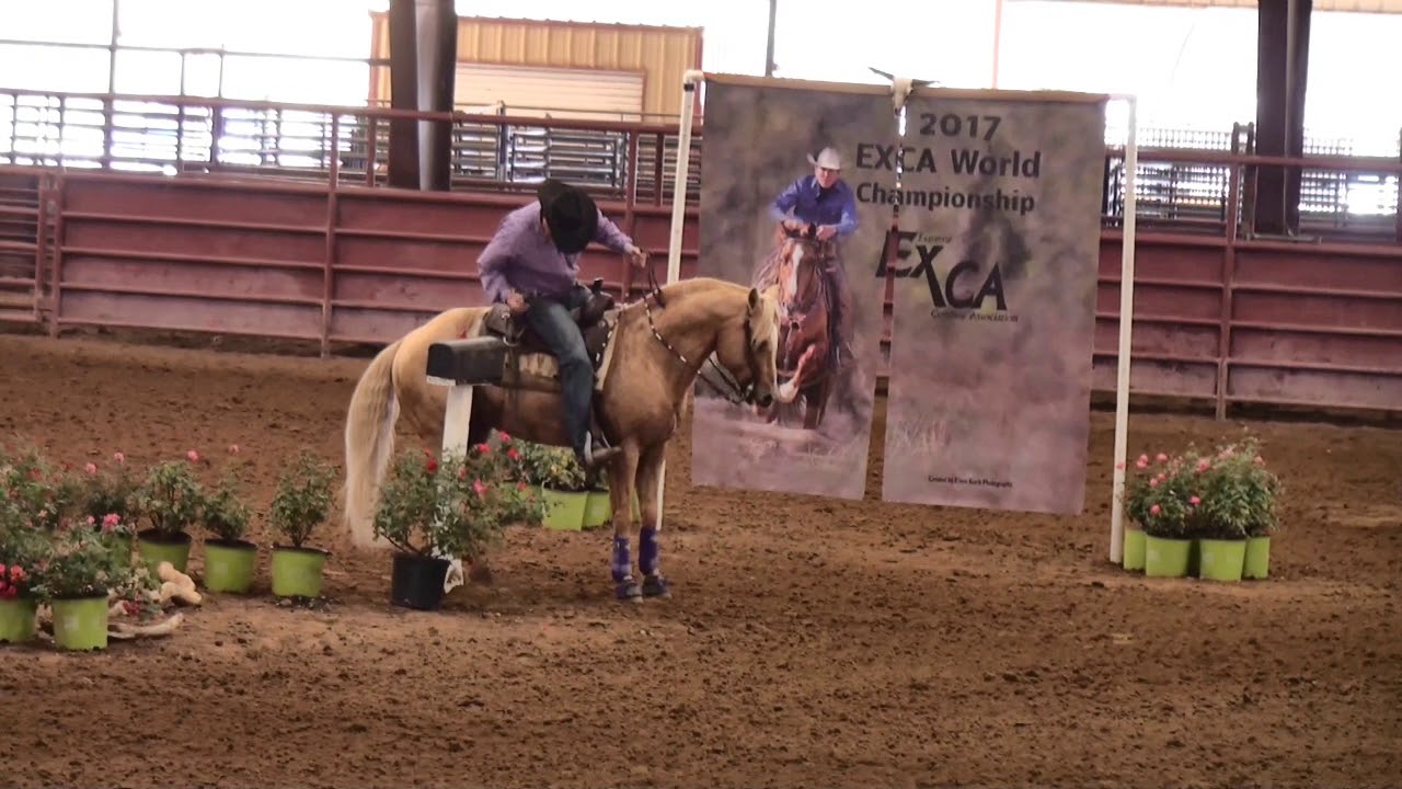 Bill Cameron Extreme Cowboy - 2017 EXCA World Finals (2nd go)