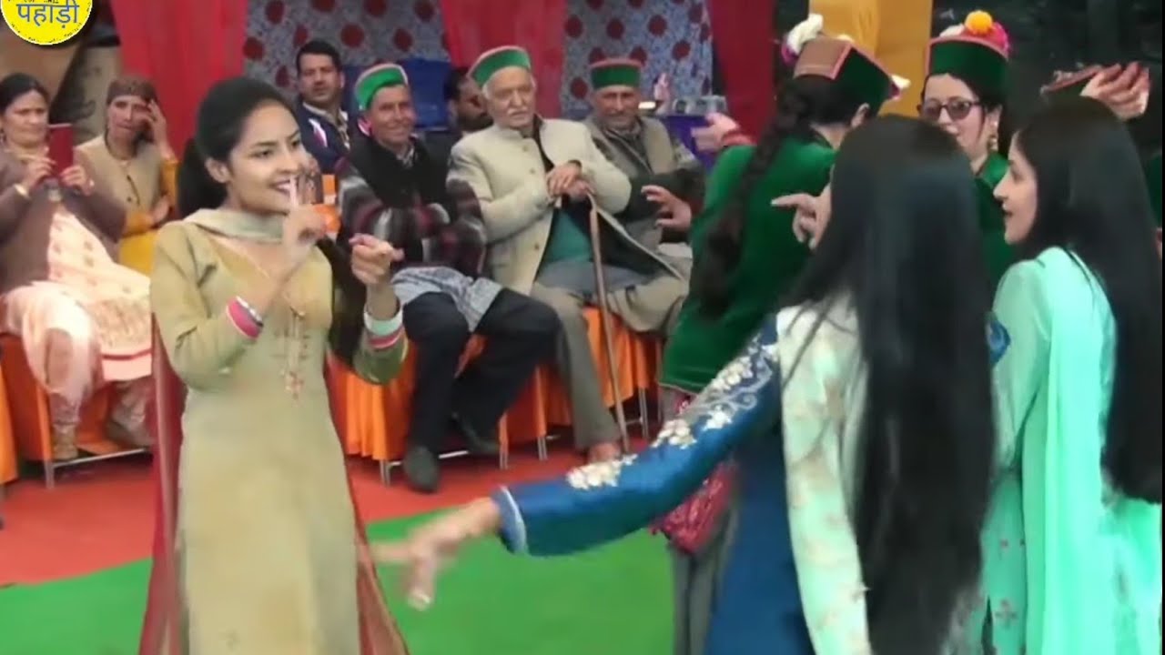 PITTA PITTA Ankita Suryan 