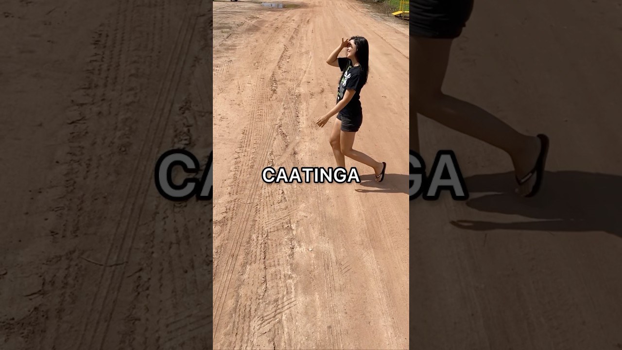 a CAATINGA n&atilde;o &eacute; um DESERTO 🌵#animais #biologia #curiosidades #humor #nordeste #biologo