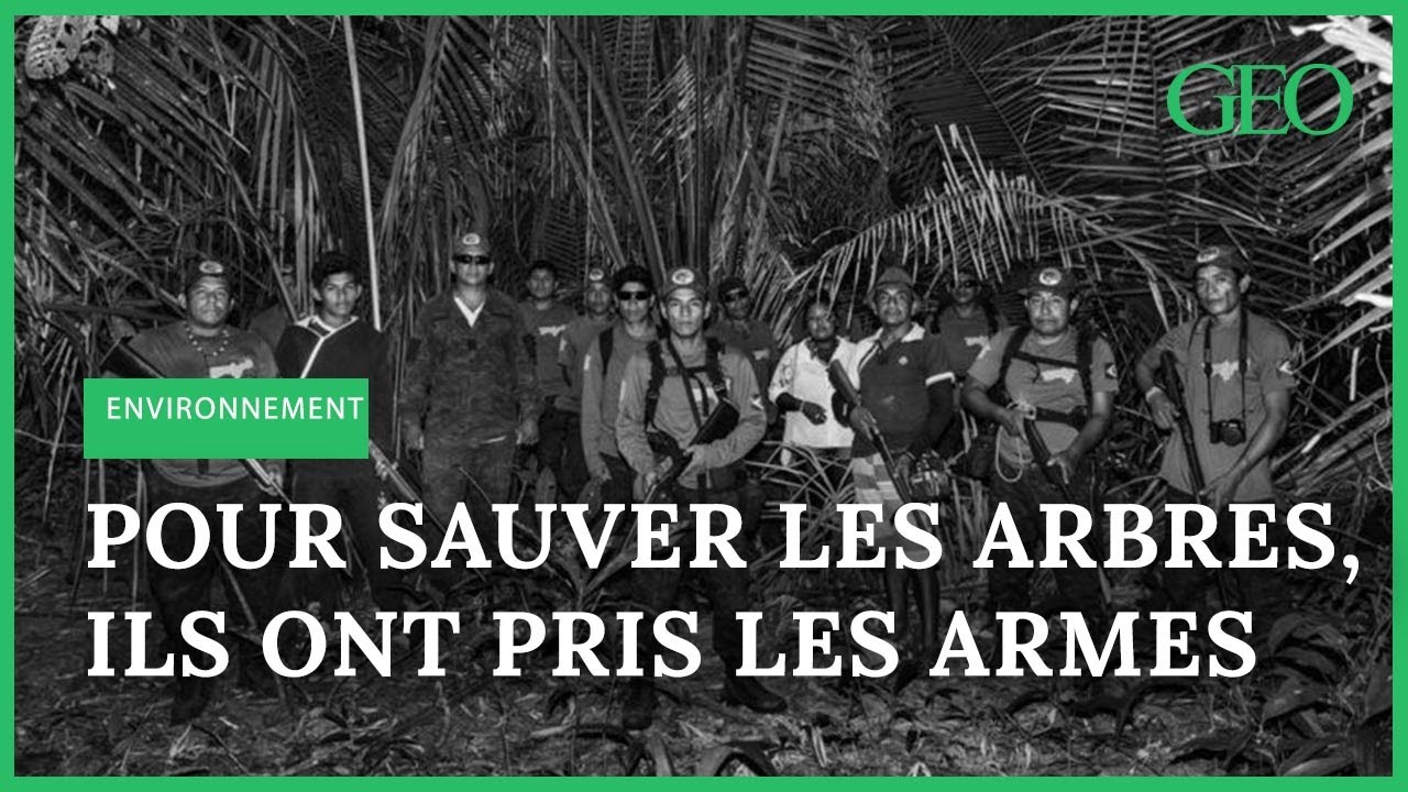 Brésil : qui sont les 